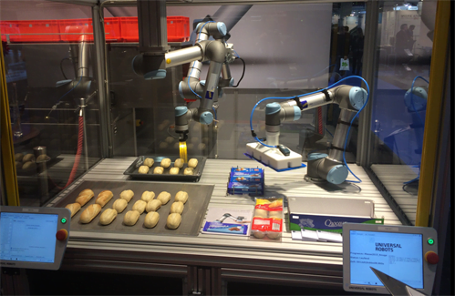 cobots-in-the-food-industry-.jpg